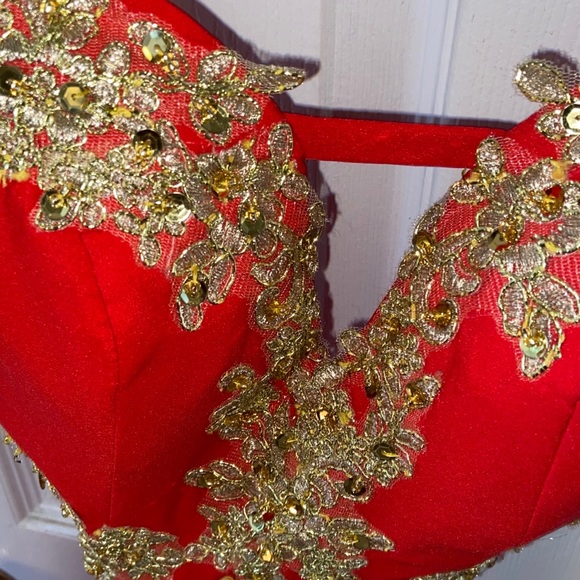 Red Coral Dress - Picture 2 of 7